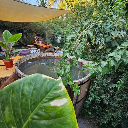 La Araucaria Cabana Con Tinaja San Felipe Ngoại thất bức ảnh