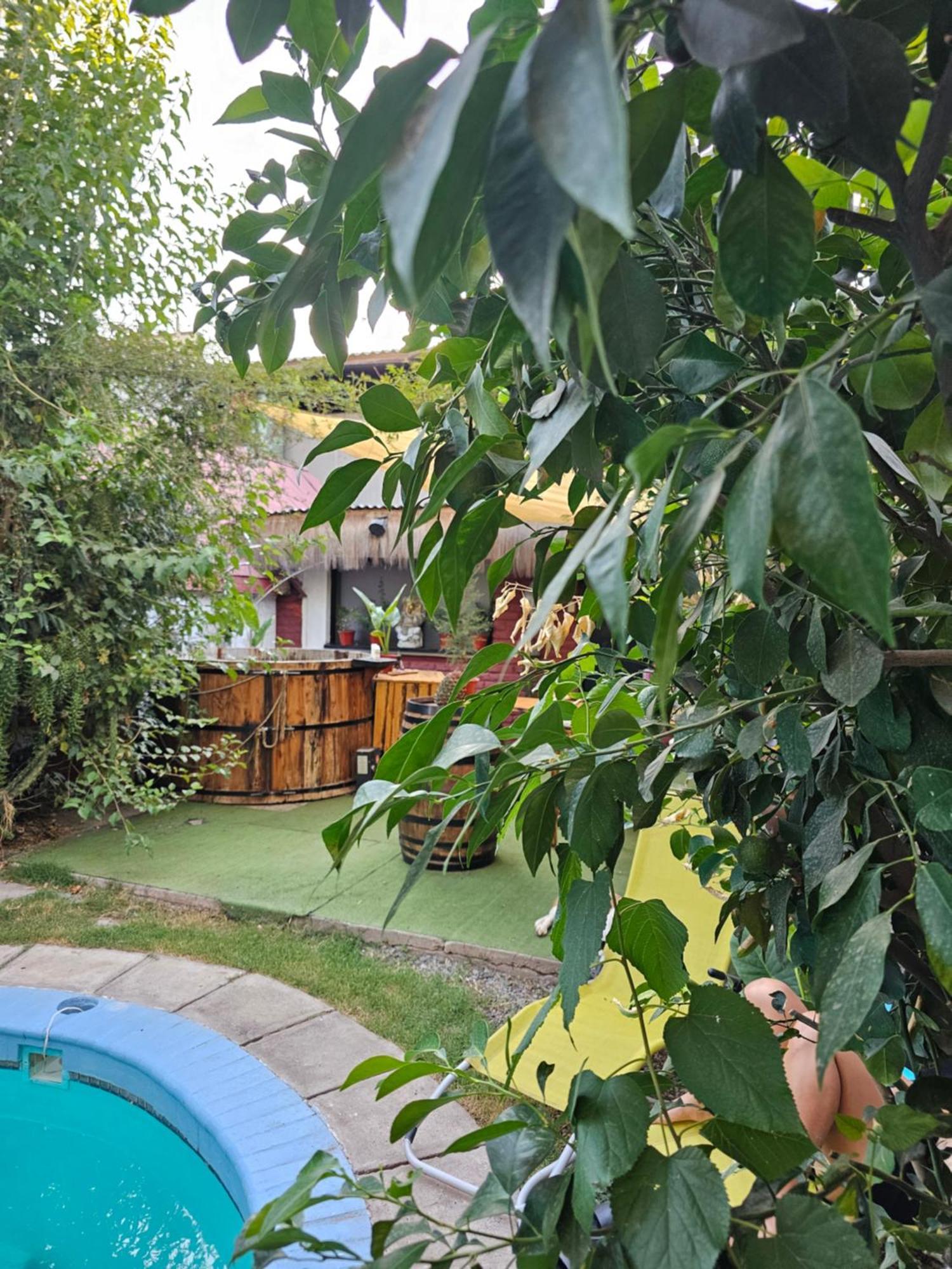 La Araucaria Cabana Con Tinaja San Felipe Ngoại thất bức ảnh