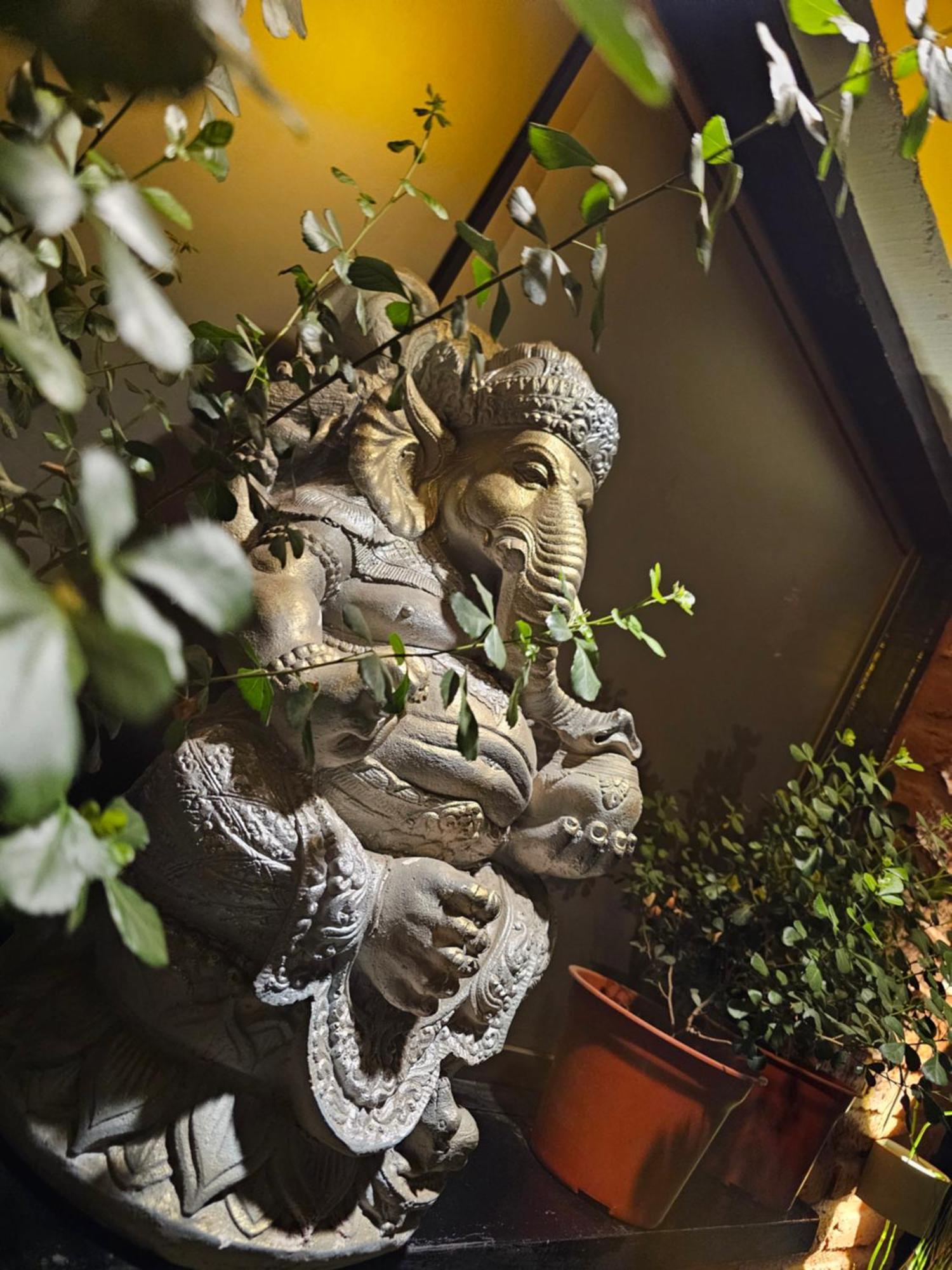 La Araucaria Cabana Con Tinaja San Felipe Ngoại thất bức ảnh
