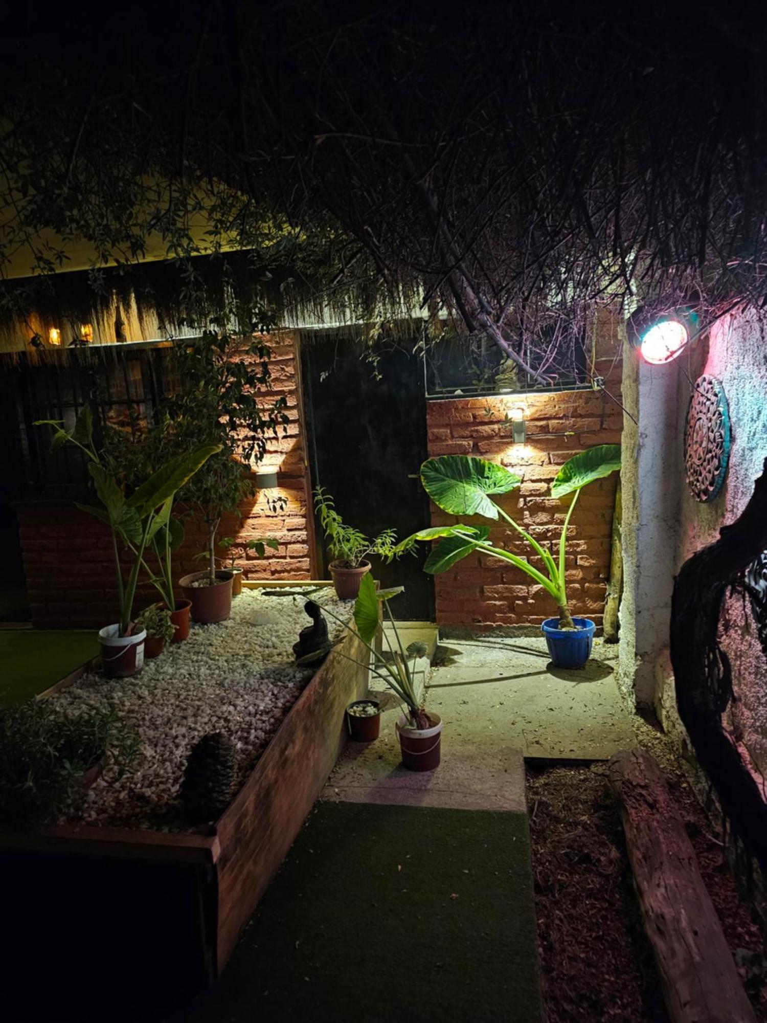 La Araucaria Cabana Con Tinaja San Felipe Ngoại thất bức ảnh