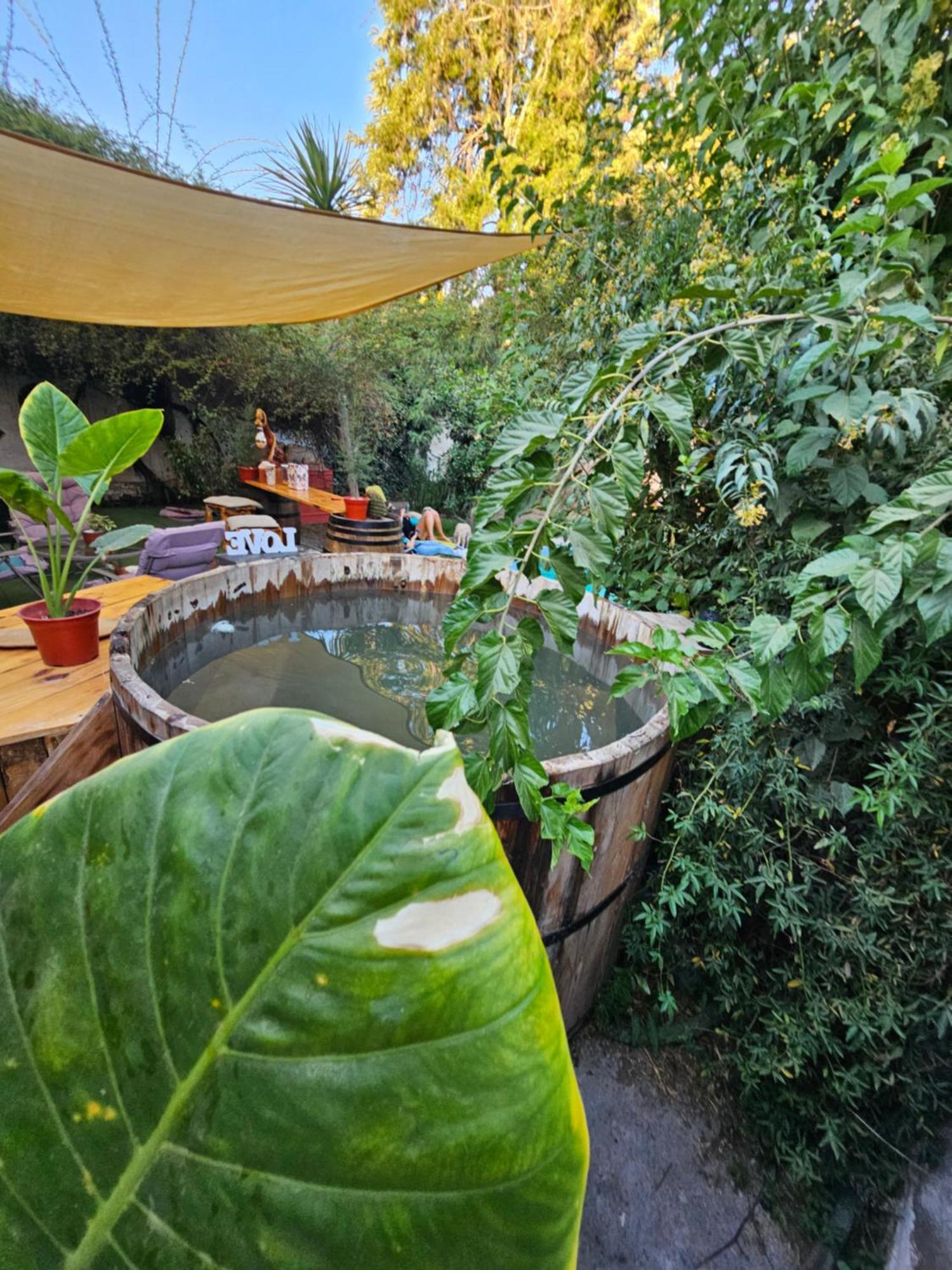 La Araucaria Cabana Con Tinaja San Felipe Ngoại thất bức ảnh