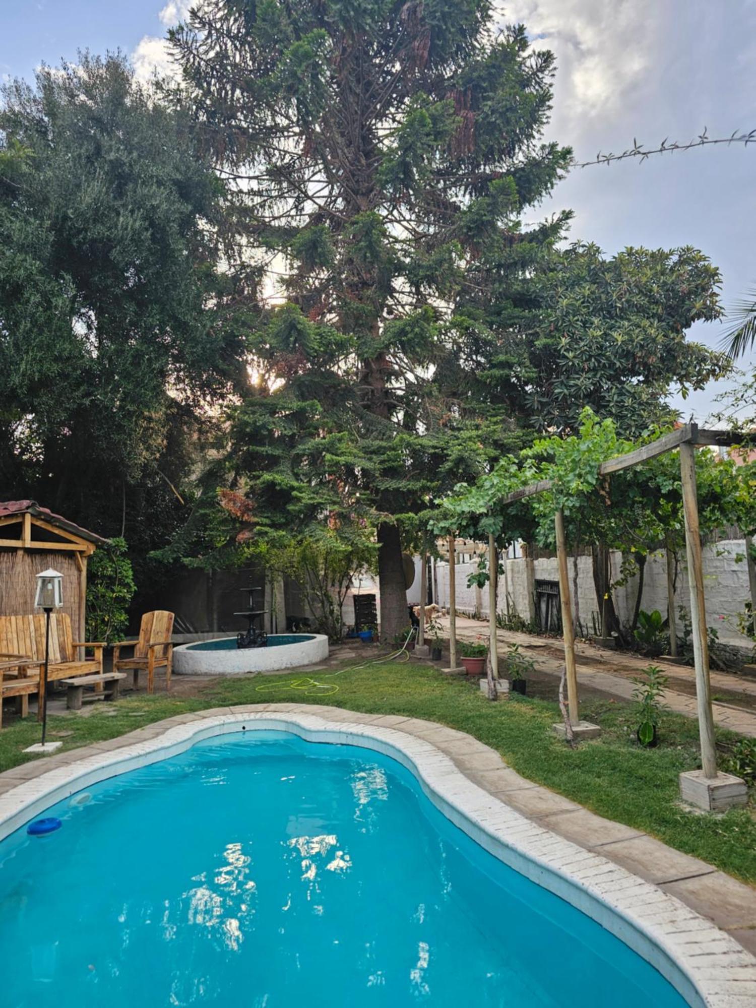 La Araucaria Cabana Con Tinaja San Felipe Ngoại thất bức ảnh